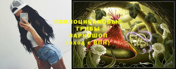 Альфа ПВП Арсеньев
