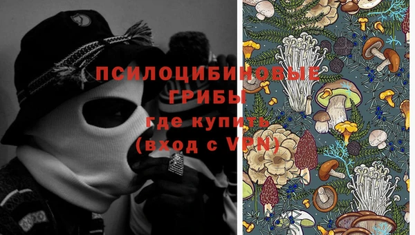 Альфа ПВП Арсеньев