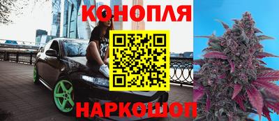 гидра Ливны