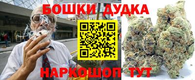 гидра Ливны