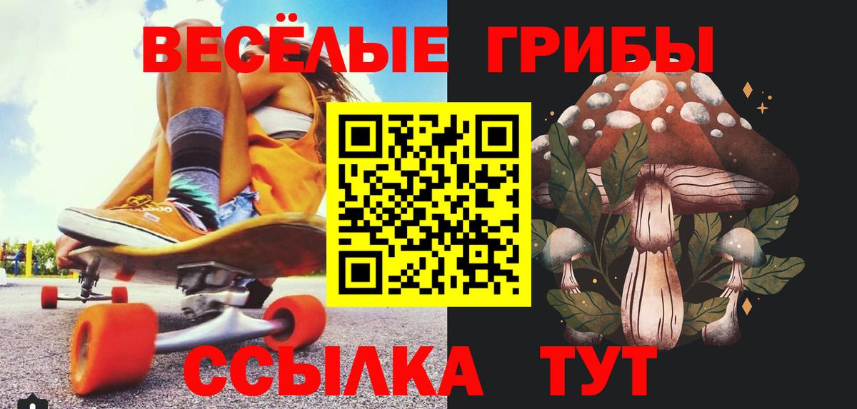 Галлюциногенные грибы мухоморы Нарьян-Мар