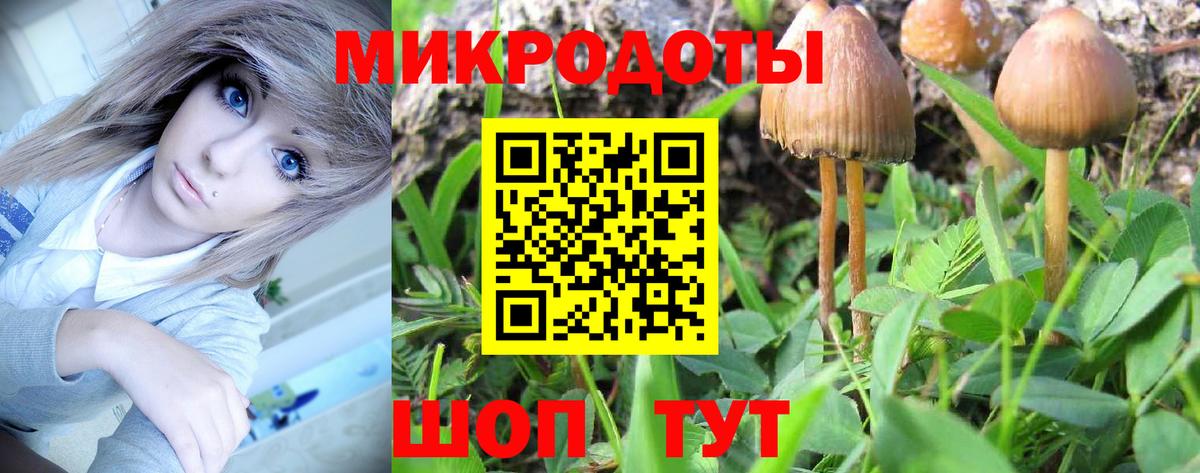 Галлюциногенные грибы Psilocybe  Галлюциногенные грибы Psilocybine cubensis  Нарьян-Мар  Вход с VPN 